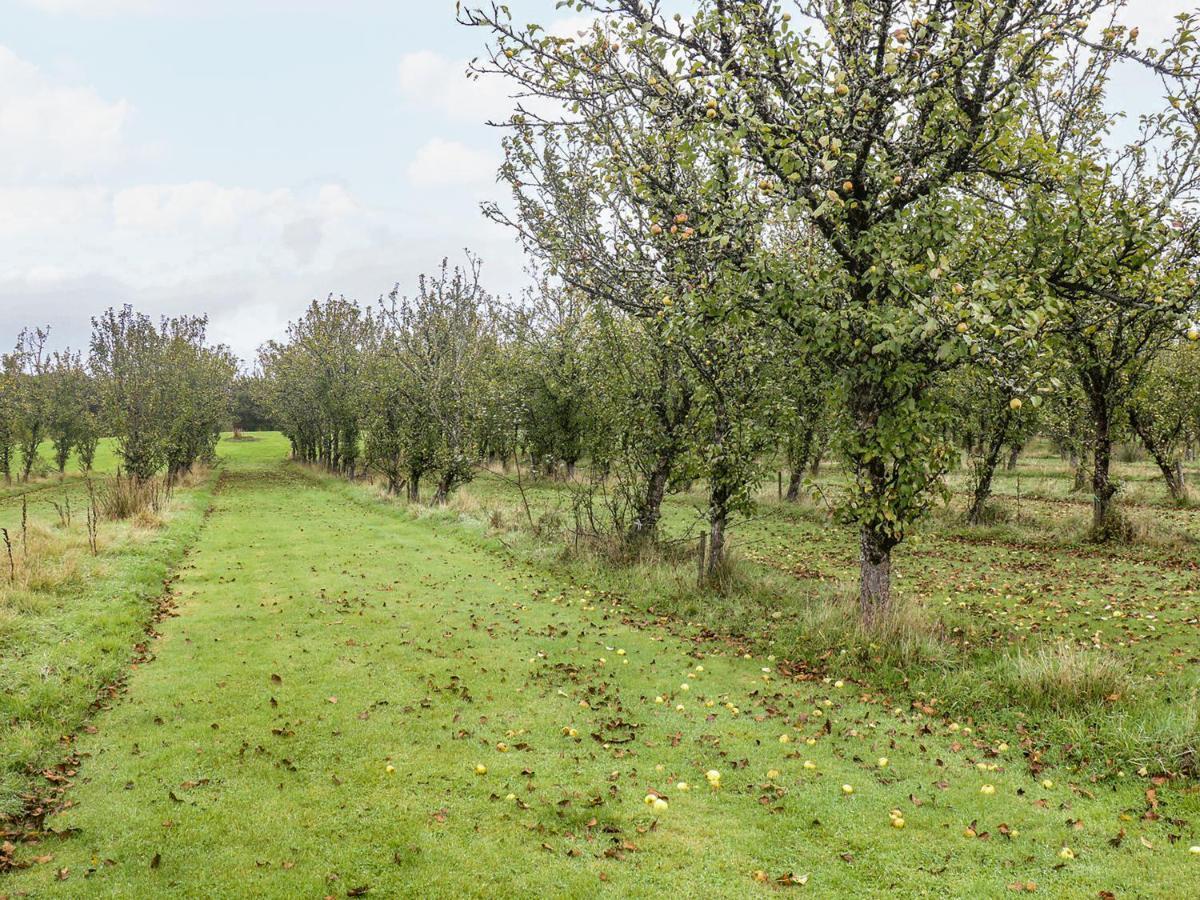 Braeburn Lodge Winkleigh Exteriör bild