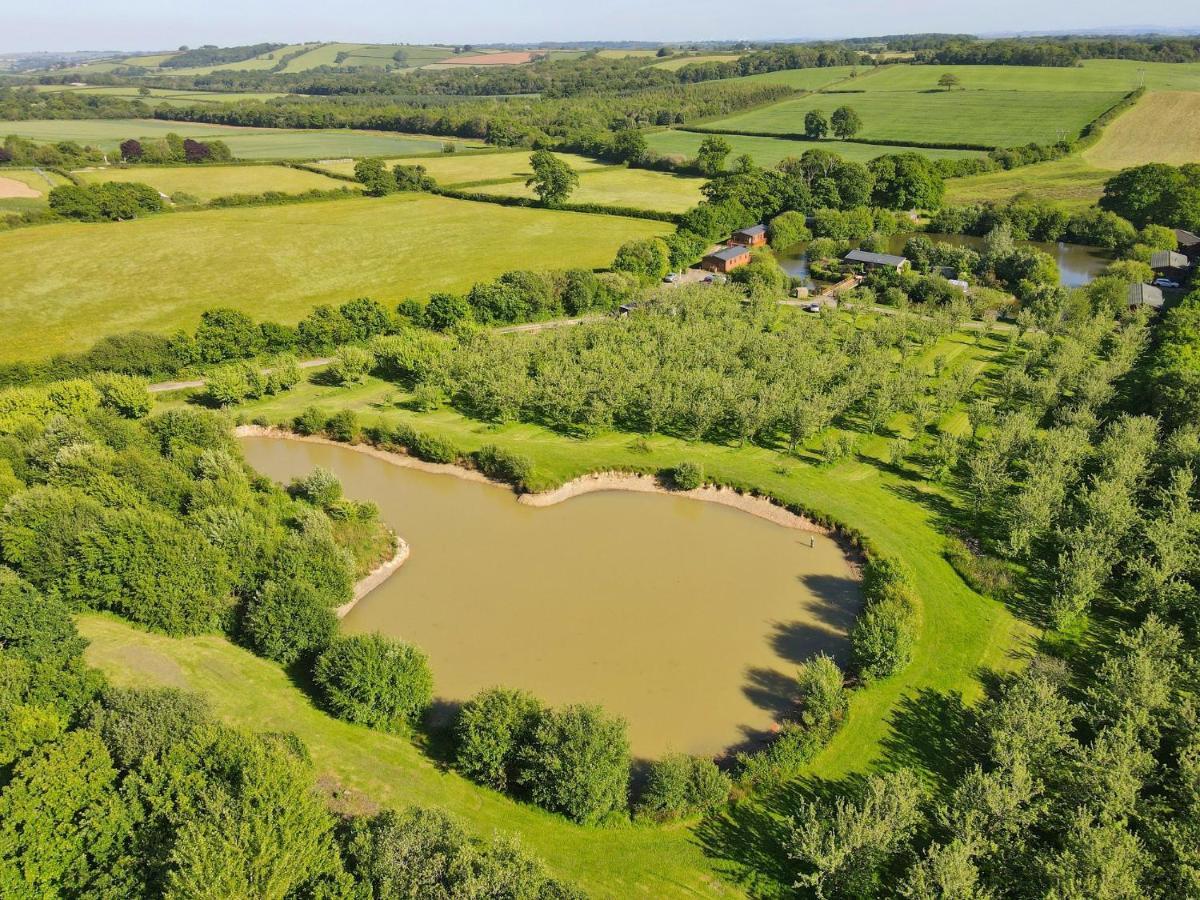 Braeburn Lodge Winkleigh Exteriör bild